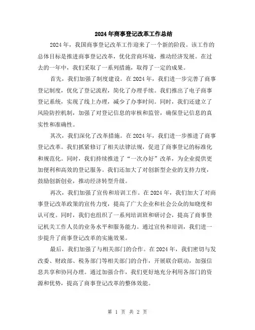 2024年商事登记改革工作总结