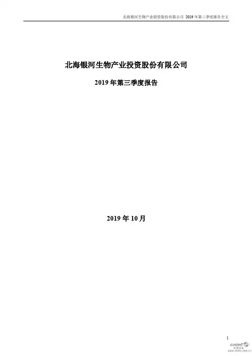 ST银河 2019 第三季度财报