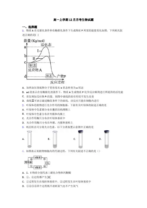 高一上学期12月月考生物试题