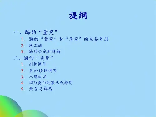 杨荣武生物化学第十二章酶活性的调节ppt(共32张PPT)