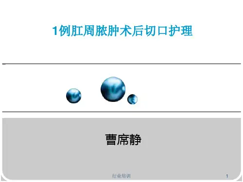 一例肛周脓肿术后换药个案[荟萃精制]