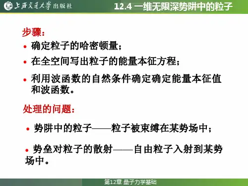 大学物理教程12.4 一维无限深势阱中的粒子ppt课件