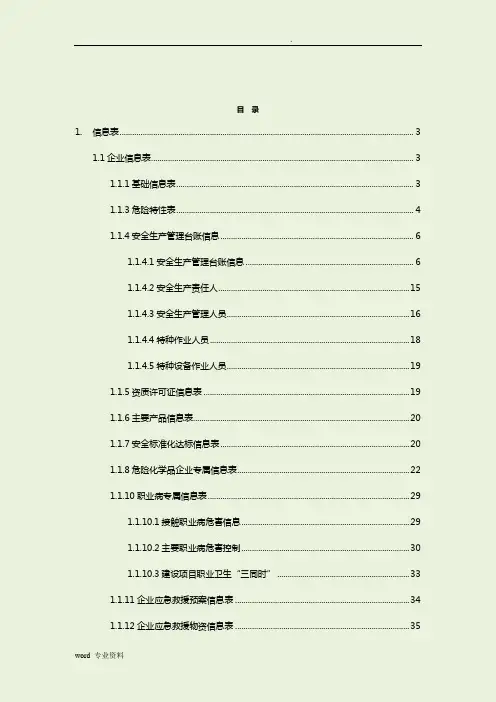 危化品企业信息表模板