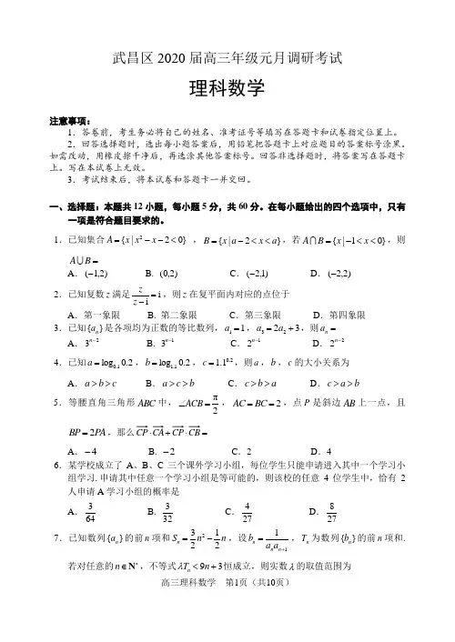 武昌区2020届高三年级理科数学调研考试试卷附答案