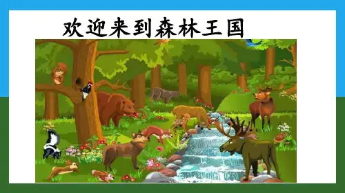 6 比尾巴(课件)部编版语文一年级上册