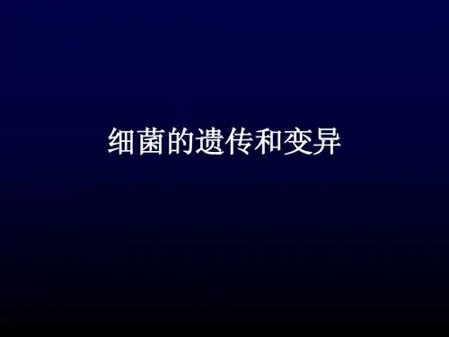 细菌的遗传和变异