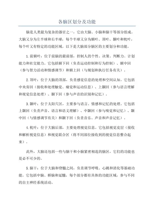 各脑区划分及功能