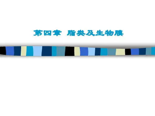第四章脂类及生物膜