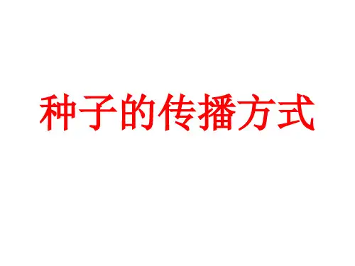种子的传播方式PPT
