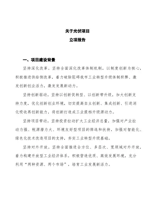 光伏立项报告
