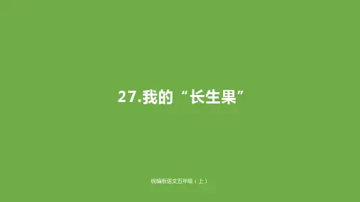 《我的“长生果”》PPT