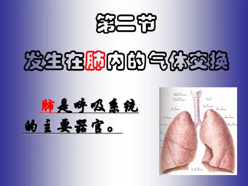 发生在肺内的气体交换(石肯)