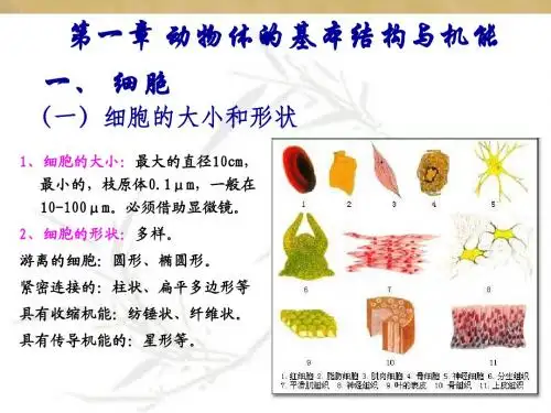 第一章 动物体的基本结构与机能