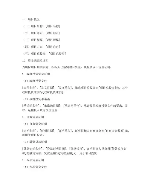 招标文件中的资金证明