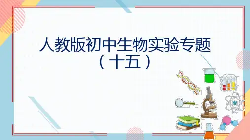 实验十五 膝跳反射-初中生物全册实验课件(人教版)