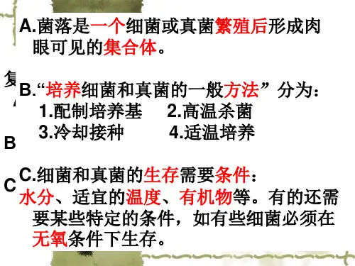 人教版八上第四章第二节细菌(共45张PPT)