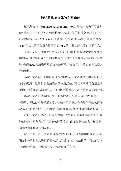 简述核孔复合体的主要功能