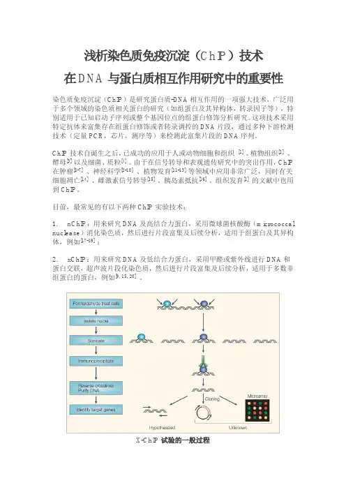 浅析染色质免疫沉淀(ChIP)技术在DNA与蛋白质相互作用研究中的重要性