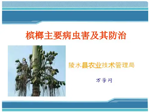 槟榔主要病虫害防治技术