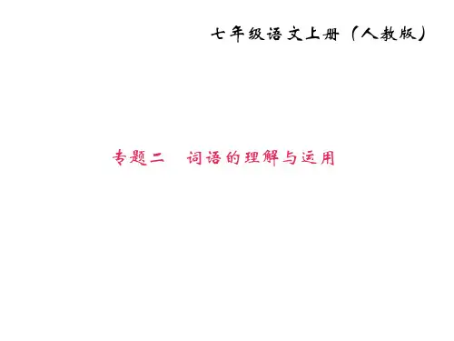 2019秋人教部编版七年级语文上册课件：专题二 词语的理解和运用 (共14张PPT)