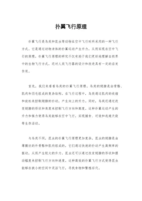 扑翼飞行原理