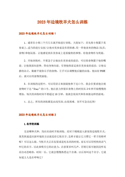 2023年边境牧羊犬怎么训练