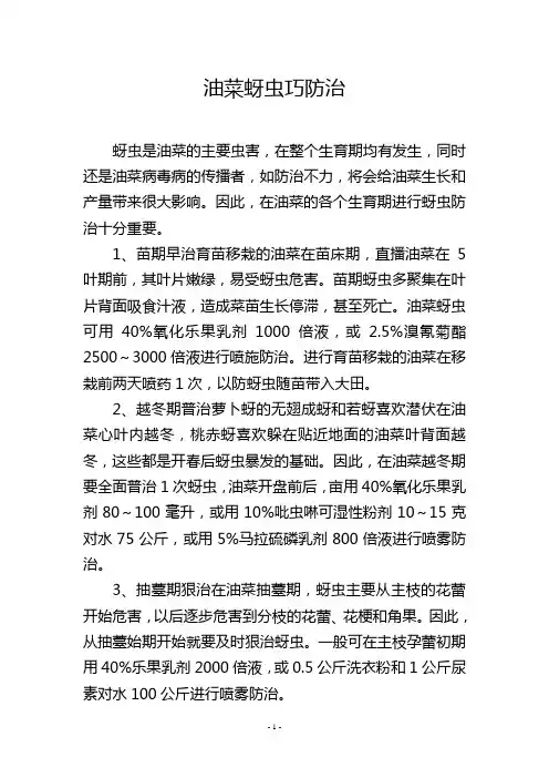 油菜蚜虫巧防治