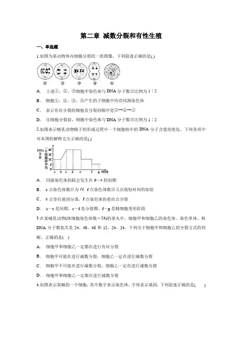 苏科版高中生物必修二第二章 减数分裂和有性生殖(含答案)