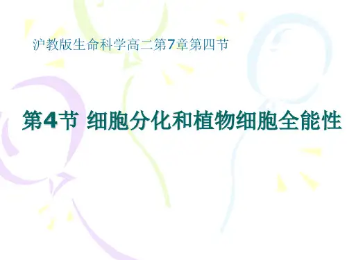 细胞分化和植物细胞全能性ppt 优秀课件