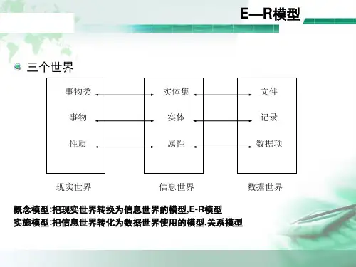 E-R图绘制