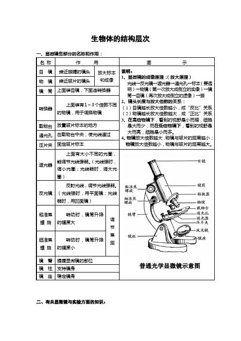 生物体的结构层次-知识点