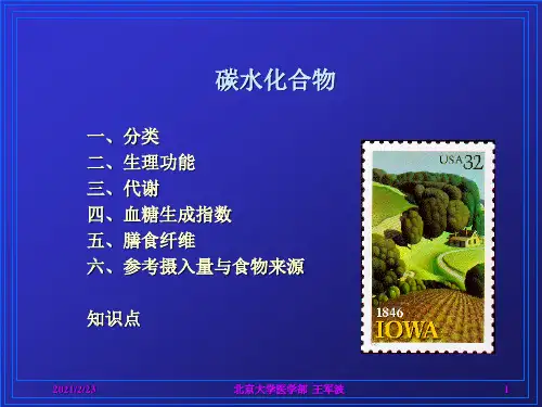 碳水化合物.ppt