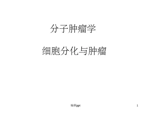 《分子肿瘤学》PPT课件