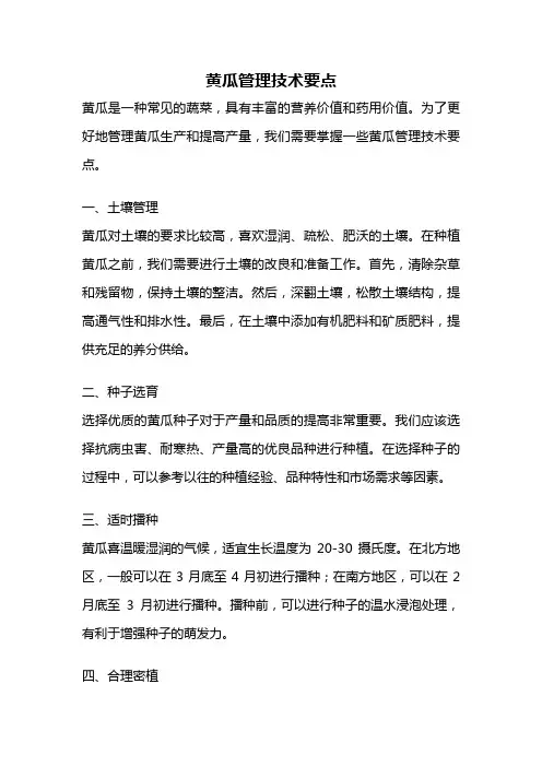 黄瓜管理技术要点