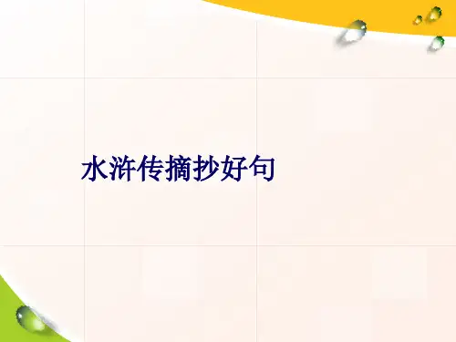 水浒传摘抄好句