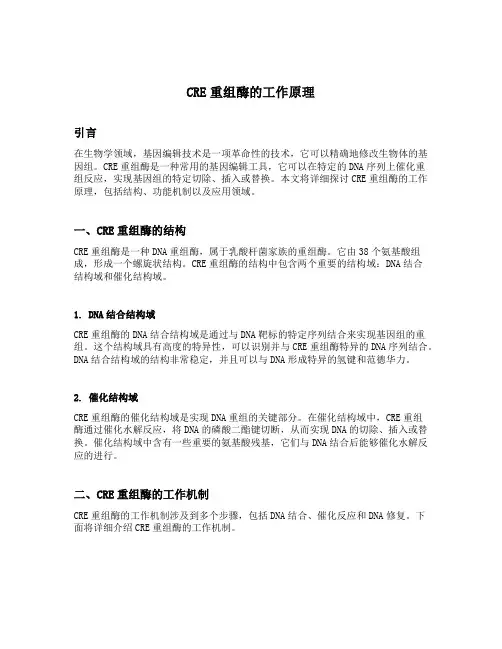 cre重组酶的工作原理