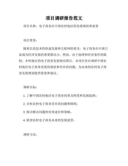 项目调研报告范文