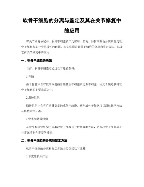 软骨干细胞的分离与鉴定及其在关节修复中的应用