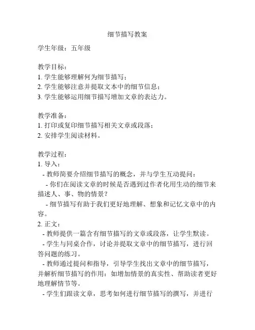 细节描写教案