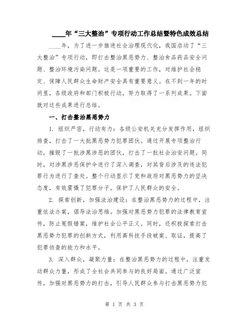 2024年“三大整治”专项行动工作总结暨特色成效总结