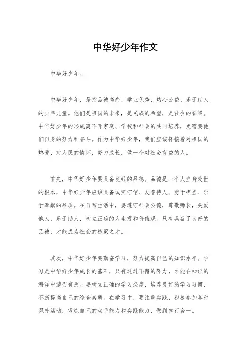 中华好少年作文