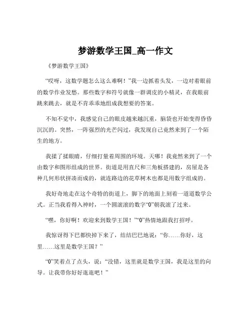 梦游数学王国_高一作文