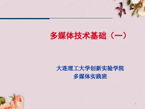 多媒体技术基础培训课件(ppt 23页)