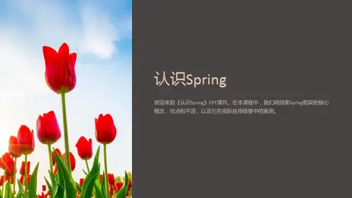 《认识Spring》课件