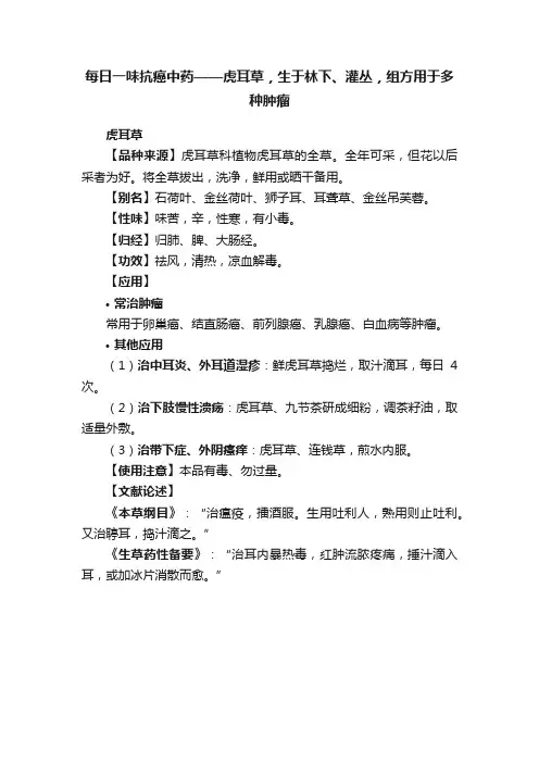 每日一味抗癌中药——虎耳草，生于林下、灌丛，组方用于多种肿瘤