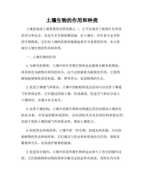 土壤生物的作用和种类