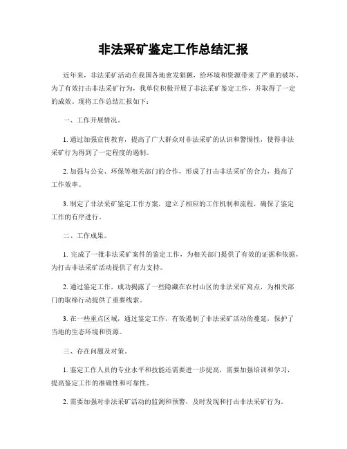 非法采矿鉴定工作总结汇报