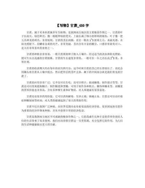 【写物】甘蔗_450字