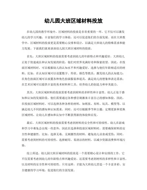 幼儿园大班区域材料投放