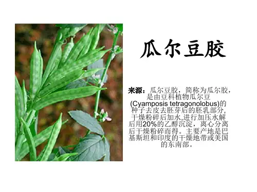 瓜尔豆胶简介